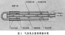固體電解質(zhì)